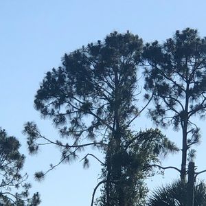 Meet your Posher, Huber